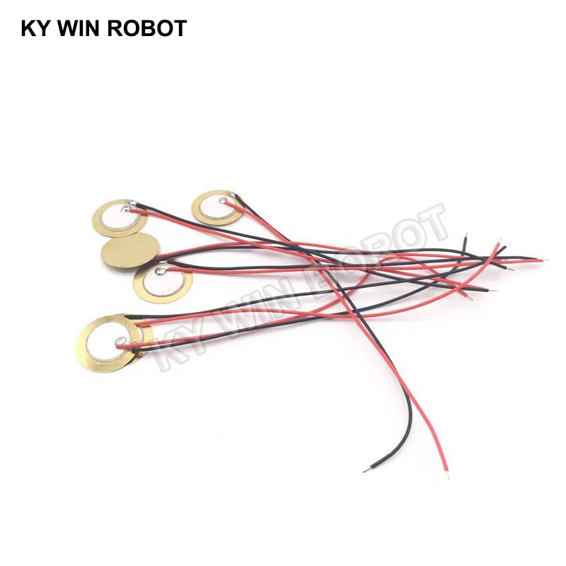 10 Buah Pelat Wafer Keramik Pi - R/Diy Electronics ulasan dan harga